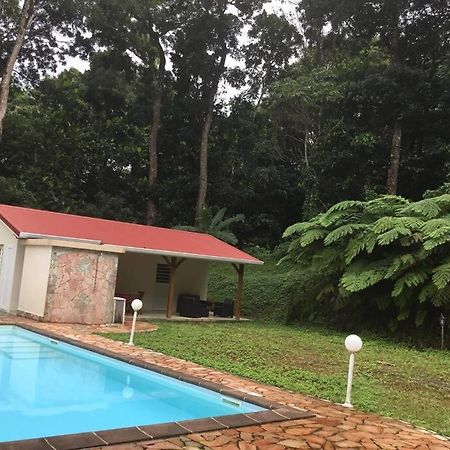 Les Lucioles 1 Beau T2 En Foret Tropicale Avec Acces Piscine Saint-Joseph Extérieur photo