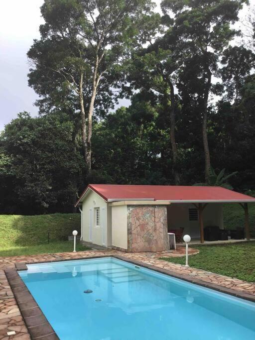 Les Lucioles 1 Beau T2 En Foret Tropicale Avec Acces Piscine Saint-Joseph Extérieur photo