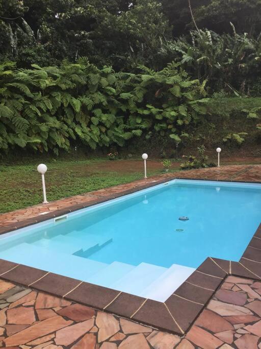 Les Lucioles 1 Beau T2 En Foret Tropicale Avec Acces Piscine Saint-Joseph Extérieur photo